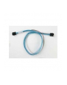 Kabel Supermicro CBL-SAST-0593 - nr 12