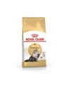 royal canin FBN Persian 4 kg - nr 4