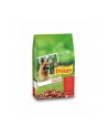 purina nestle Friskies ACTIVE 10kg - nr 1