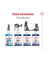 Karma Royal Canin Dog Food Maxi Adult (15 kg ) - nr 2