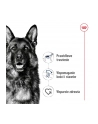 Karma Royal Canin Dog Food Maxi Adult (15 kg ) - nr 6