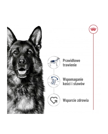 Karma Royal Canin Dog Food Maxi Adult (15 kg ) nr 2
