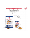 Karma Royal Canin Dog Food Maxi Adult (15 kg ) - nr 12