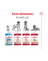 Karma Royal Canin Food Medium Adult (15 kg ) - nr 12