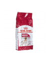 Karma Royal Canin Food Medium Adult (15 kg ) - nr 3