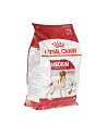 Karma Royal Canin Food Medium Adult (15 kg ) - nr 4