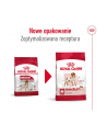 Karma Royal Canin Food Medium Adult (15 kg ) - nr 7