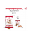 Karma Royal Canin Food Medium Adult (15 kg ) - nr 8