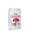 Karma Royal Canin FHN Fit (2 kg ) - nr 5