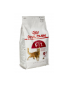 ROYAL CANIN Cat Food Fit 32 Dry Mix 4kg - nr 3