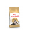 ROYAL CANIN Cat Food Persian 30 Dry Mix 10kg - nr 4