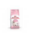 royal canin FHN Kitten 10 kg - nr 1