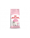 royal canin FHN Kitten 10 kg - nr 4