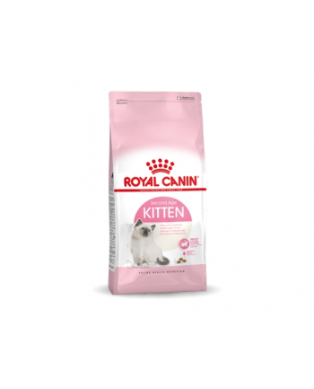 royal canin FHN Kitten 10 kg