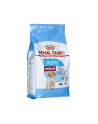 Karma Royal Canin SHN Medium Junior (4 kg ) - nr 3