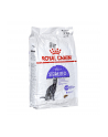 Karma Royal Canin FHN Sterilised (10 kg ) - nr 4