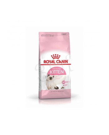 royal canin FHN Kitten 10 kg nr 2