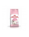 royal canin FHN Kitten 10 kg - nr 2