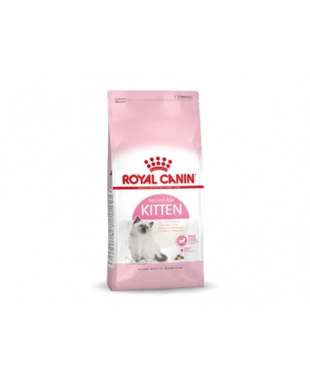 royal canin FHN Kitten 10 kg nr 1