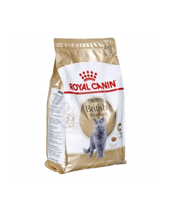 Karma Royal Canin FBN British Shorthair (4 kg ) nr 1