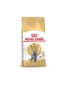 Karma Royal Canin FBN British Shorthair (4 kg ) - nr 2