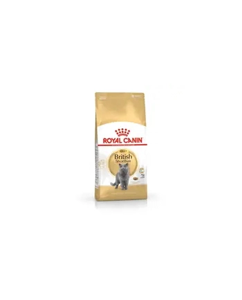Karma Royal Canin FBN British Shorthair (4 kg ) nr 2