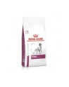 ROYAL CANIN Renal 2kgt - nr 6