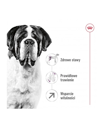 Karma Royal Canin SHN Giant Adult (15 kg ) nr 2