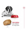 Karma Royal Canin SHN Giant Adult (15 kg ) - nr 12