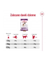 Karma Royal Canin SHN Giant Adult (15 kg ) - nr 3