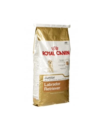 Karma Royal Canin SHN BREED LABRADOR JUNIOR (12 kg ) nr 1