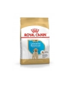 Karma Royal Canin SHN BREED LABRADOR JUNIOR (12 kg ) - nr 3
