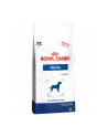 ROYAL CANIN Renal 2kgt - nr 1