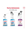 Karma Royal Canin SHN Giant Adult (15 kg ) - nr 3