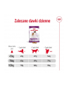 Karma Royal Canin SHN Giant Adult (15 kg ) - nr 4