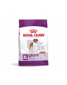 Karma Royal Canin SHN Giant Adult (15 kg ) - nr 5