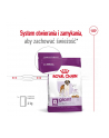 Karma Royal Canin SHN Giant Adult (15 kg ) - nr 7