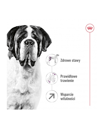 Karma Royal Canin SHN Giant Adult (15 kg )