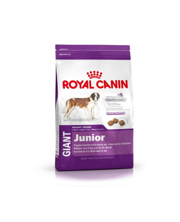 Karma Royal Canin SHN Giant Junior (15 kg )