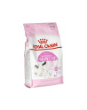 Karma Royal Canin Mother & Babycat (4 kg ) - nr 2