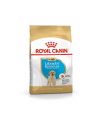 Karma Royal Canin SHN BREED LABRADOR JUNIOR (12 kg ) - nr 3