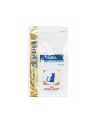 Karma Royal Canin Renal Special Cat (2 kg ) - nr 3