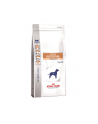 Karma Royal Canin Intestinal Gastro Low Fat  (6 kg  ) - nr 1