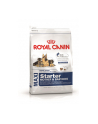 Karma Royal Canin Maxi Starter Mother & Babydog (15 kg ) - nr 1