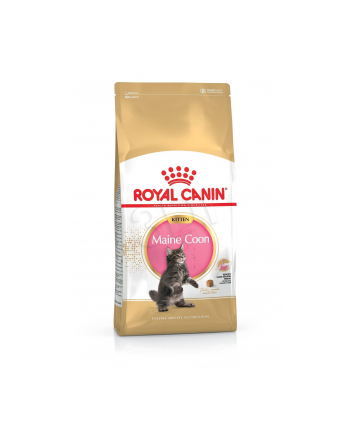 Karma Royal Canin Kitten Food Maine Coon 36 Dry Mix (10 kg )