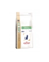 Karma Royal Canin Cat Dental (1,5 kg ) - nr 1