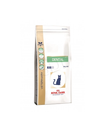 Karma Royal Canin Cat Dental (1,5 kg ) nr 2