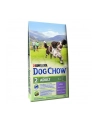 Karma PURINA NESTLE DOG CHOW ADULT Jagnięcina (14 kg ) - nr 1