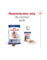 Karma Royal Canin SHN Maxi Adult (15 kg ) - nr 2
