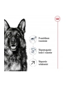 Karma Royal Canin SHN Maxi Adult (15 kg ) - nr 3